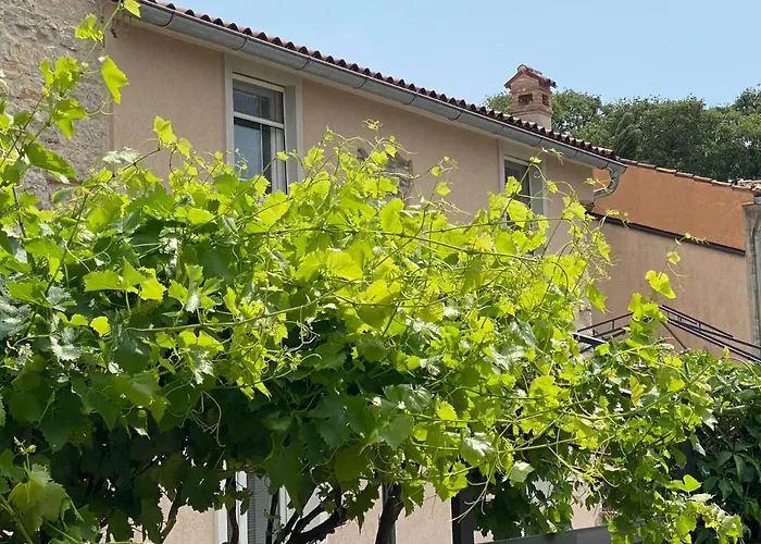 Farfalle Di Valle