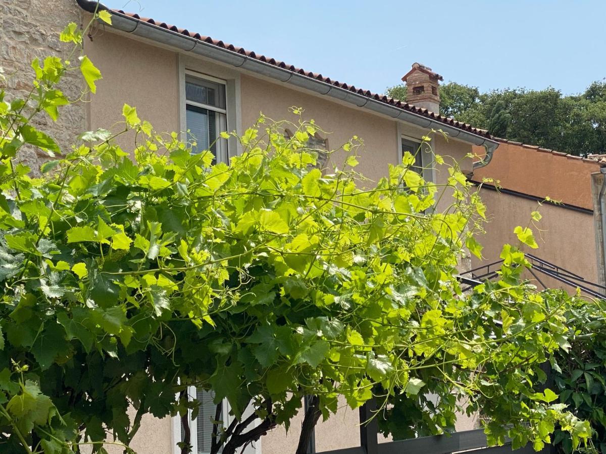 Farfalle Di Valle *